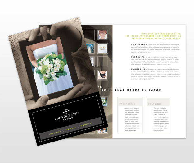 professional brochure template