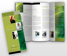 search-engine-marketing-seo-brochure-template