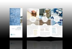 carpet-and-floor-cleaning-brochure-template