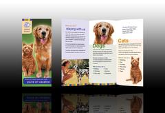 dog-and-pet-boarding-brochure-template