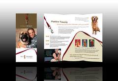 dog-training-and-daycare-brochure-template