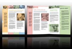 family-medical-clinic-newsletter-template