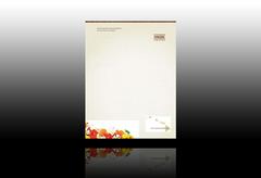 hawaii-travel-agency-letterhead-template