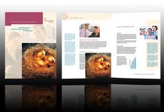 investment-management-firm-brochure-template