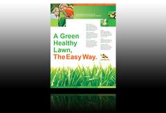lawn-care-and-maintenance-flyer-template