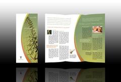 massage-and-chiropractic-therapy-tri-fold-brochure-template