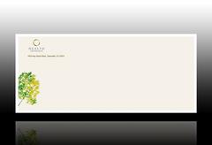 medical-and-health-insurance-provider-envelope-template