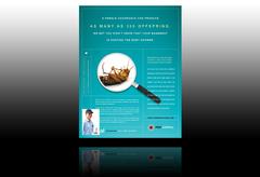pest-and-bug-termination-services-flyer-template
