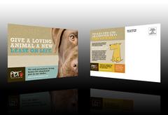 pet-adoption-agency-postcard-template