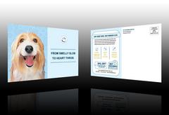 pet-care-and-grooming-postcard-template