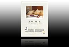 pet-hotel-flyer-template