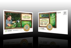 tree-planting-removal-services-postcard-template