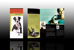 vet-animal-clinic-brochure-template