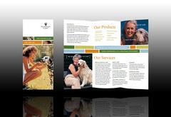 veterinary-service-brochure-template