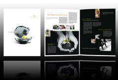 wealth-and-financial-investing-brochure-template