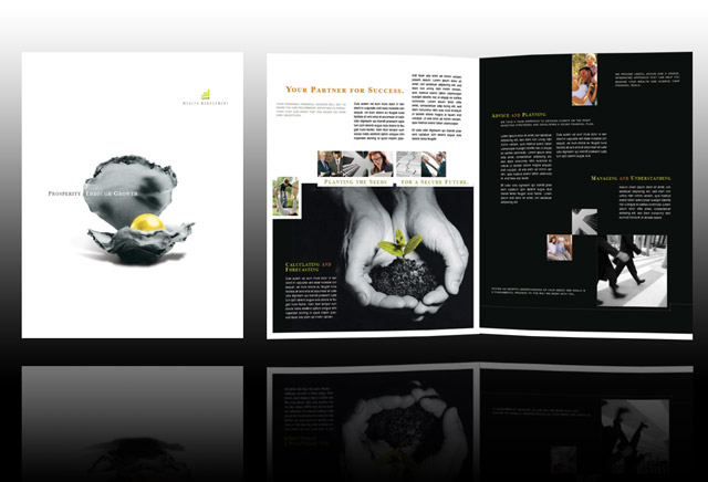 wealth-and-financial-investing-brochure-template