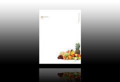 weightloss-and-nutrition-letterhead-template