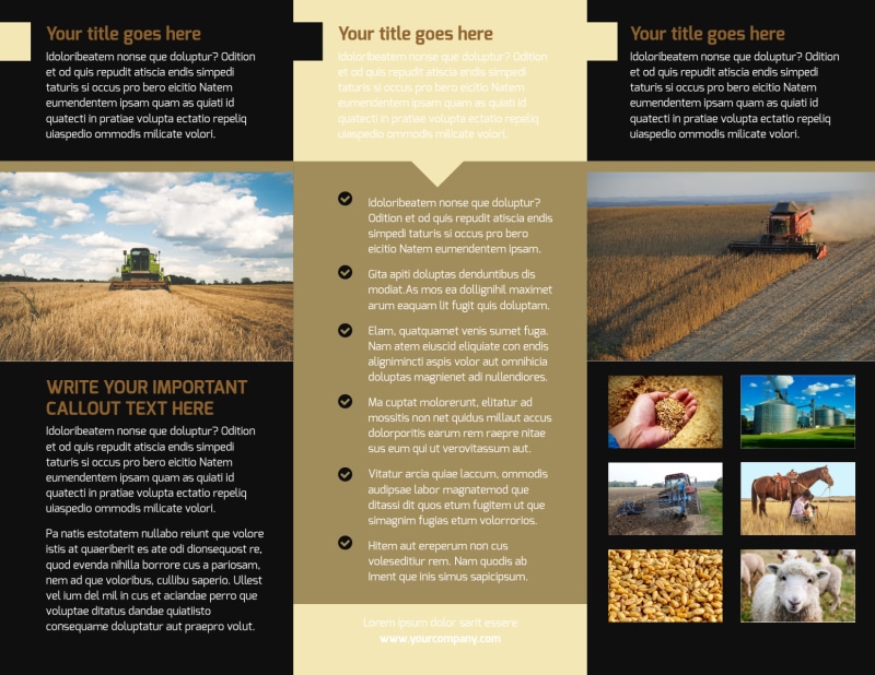 Farm Safety Awareness Brochure Template