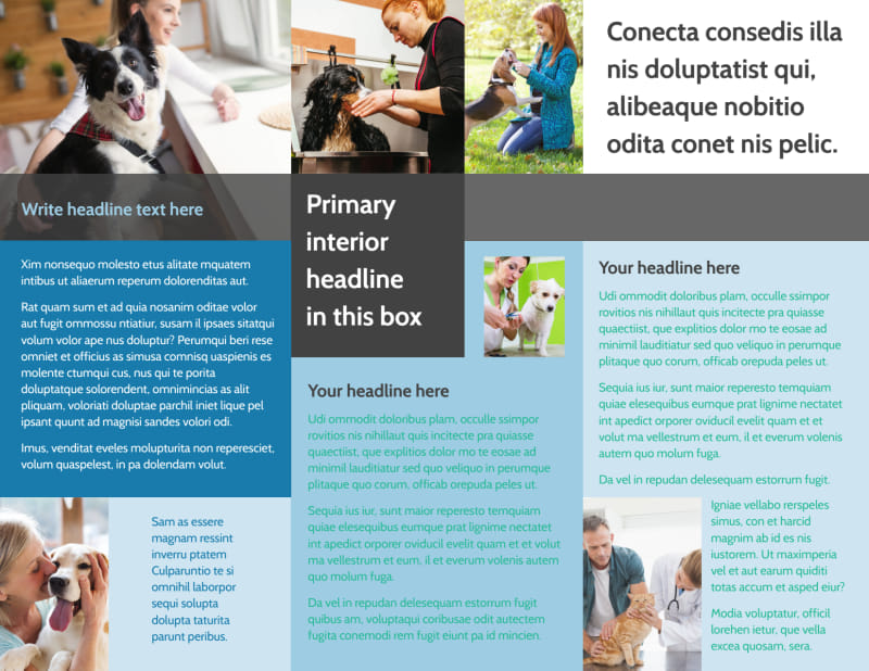 Veterinarian Tri-Fold Brochure Template