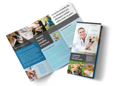 Veterinarian