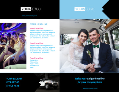 Limousine & Taxi Service