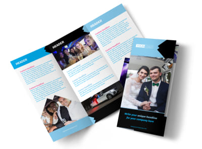 Main Limousine & Taxi Service    Image