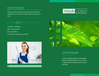 Go Green Cleaning