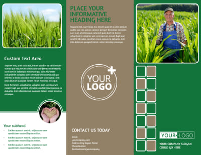 Agribusiness Consulting
