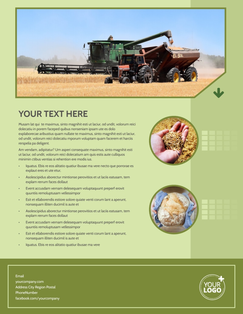 Agricultural Marketing Firm Flyer Template | MyCreativeShop