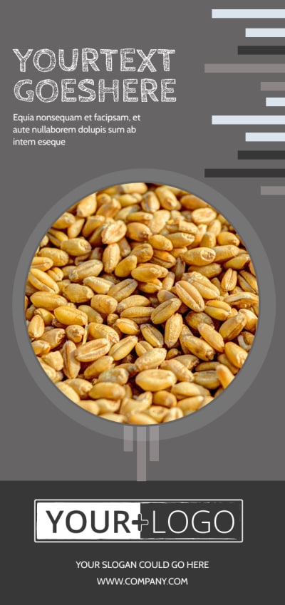 Seed Company   Side 1 Image