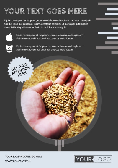 Seed Company   Side 1 Image