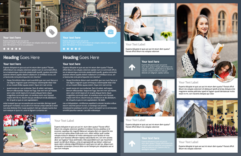 Private College Bi-Fold Brochure Template