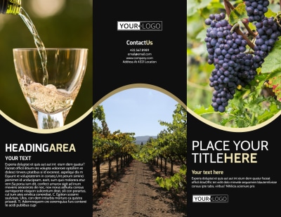 Winery & Wine Making