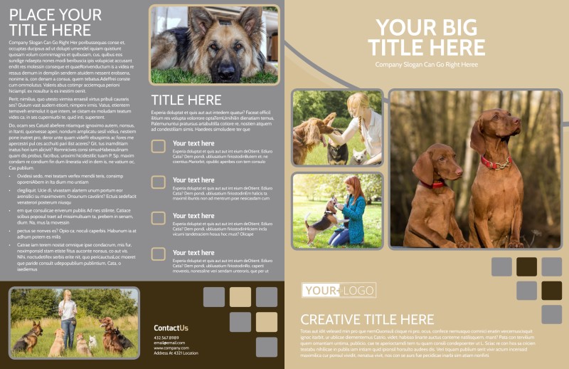 Dog Daycare Bi-Fold Brochure Template