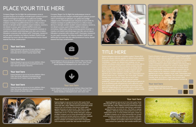 Dog Daycare Bi-Fold Brochure Template
