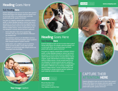 Dog Wash & Grooming