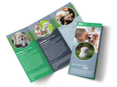 Dog Wash & Grooming
