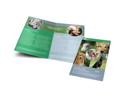 Dog Wash & Grooming