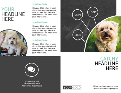 Pet Groomers