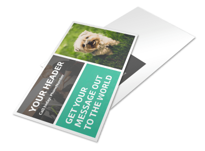Dog Grooming Postcards Template Preview