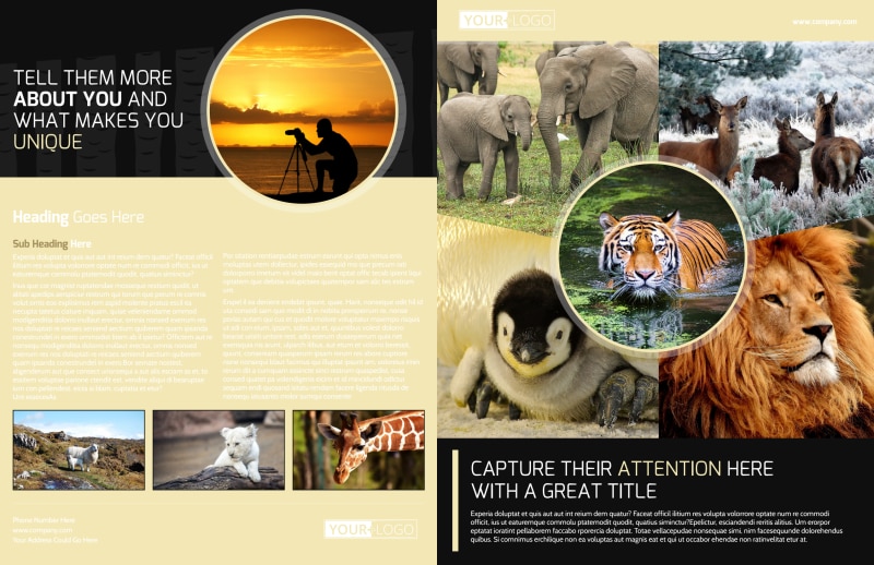 Wildlife Photography Bi-Fold Brochure Template