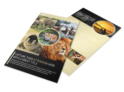Photography Flyers Template Preview