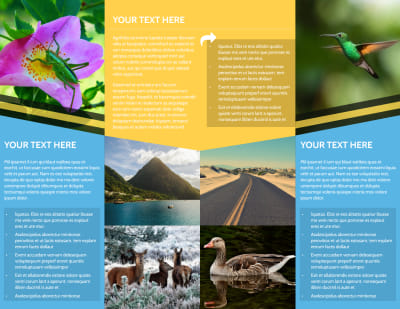 Nature Photography Brochure Template Preview 2