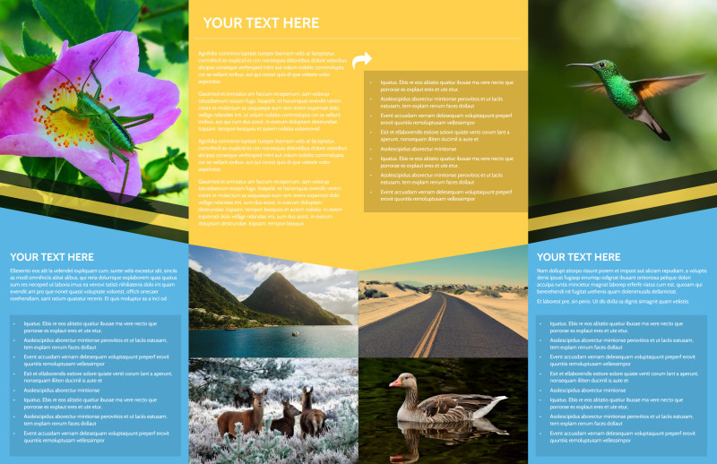 Nature Photography Bi-Fold Brochure Template