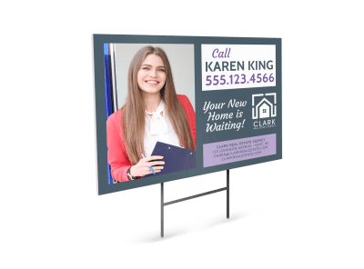 Professional Real Estate Agent