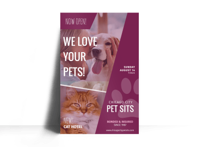 Chicago Pet Sitting