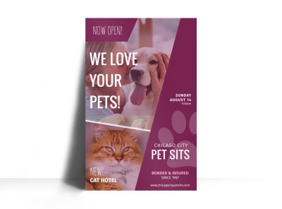 Main Chicago Pet Sitting   Image