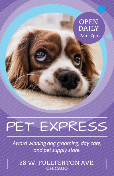 Award Winning Pet Grooming
