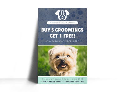 Bayview Pet Grooming