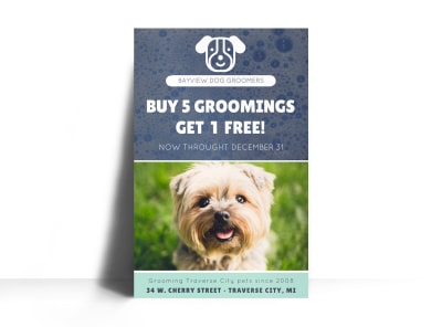 Main Bayview Pet Grooming   Image